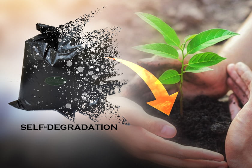How plastic bags biodegradable
