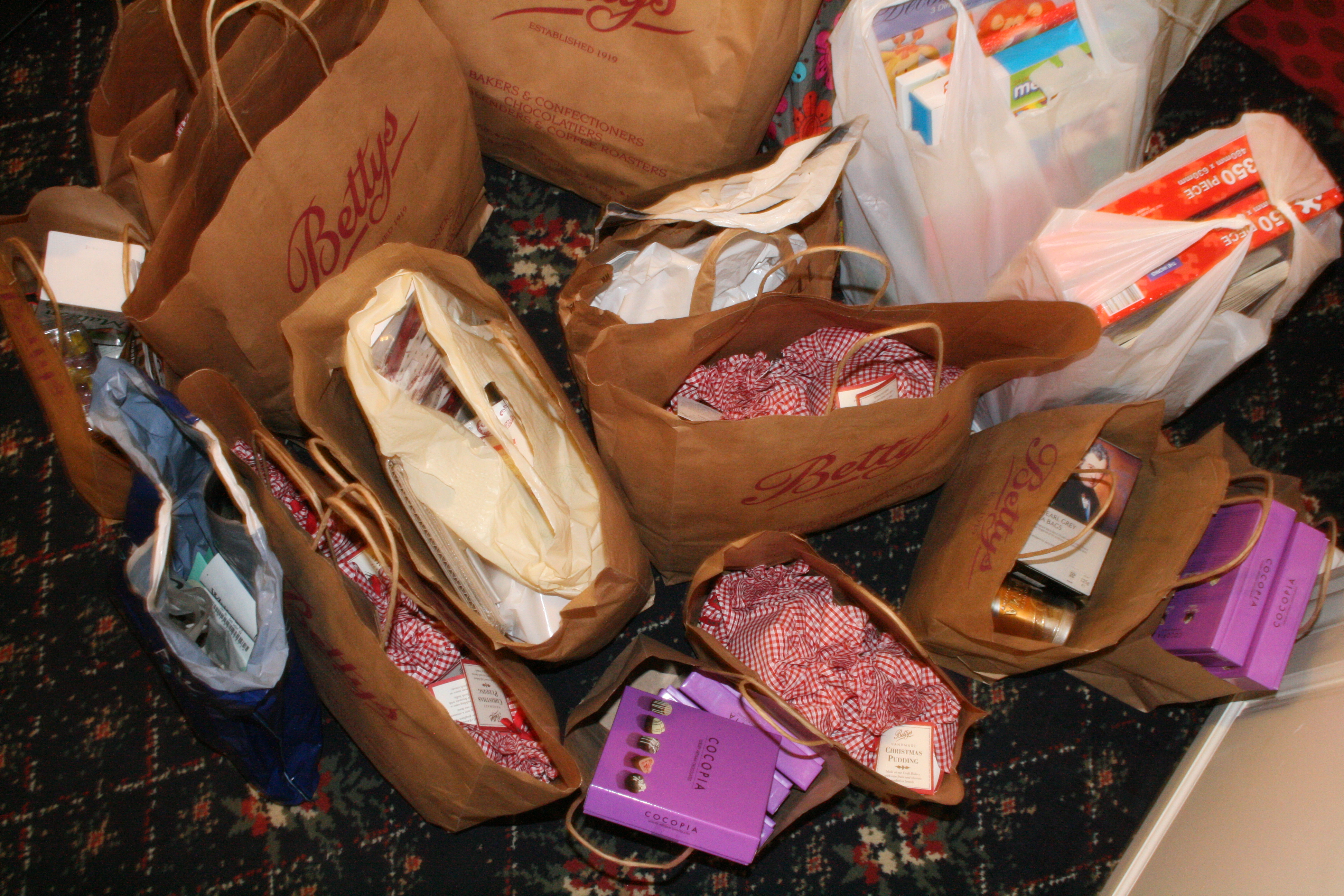 The Impacts and Alternatives of Plastic Shopping Bags in Our Lives