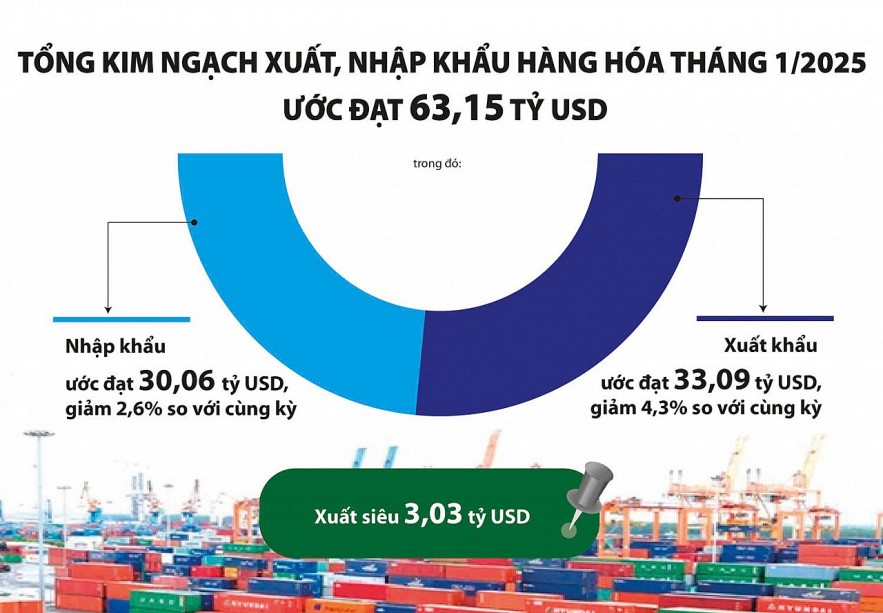 Accelerating Plastic Bag Exports - Insights and Challenges for 2025