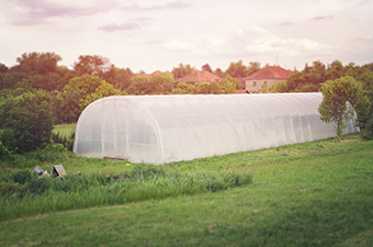 Agricultural Films: A Comprehensive Overview of Options in the Market