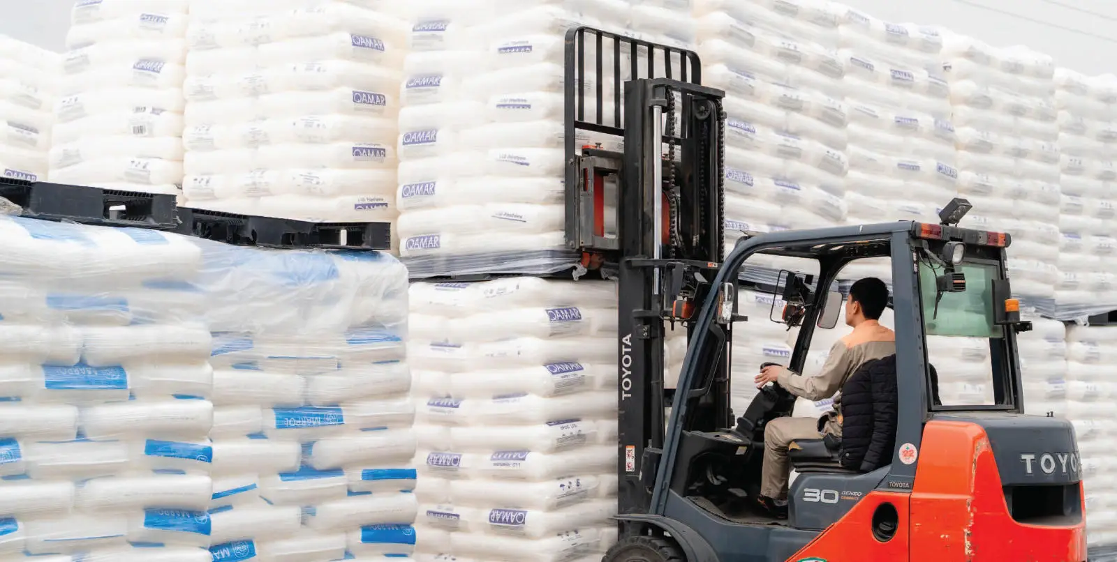 Global Plastic Bag Market