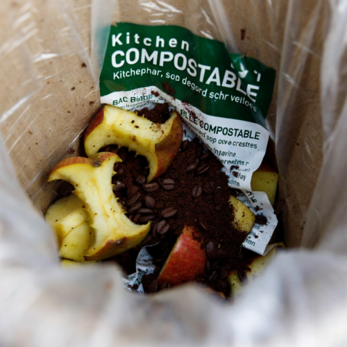 biodegradable trash bags